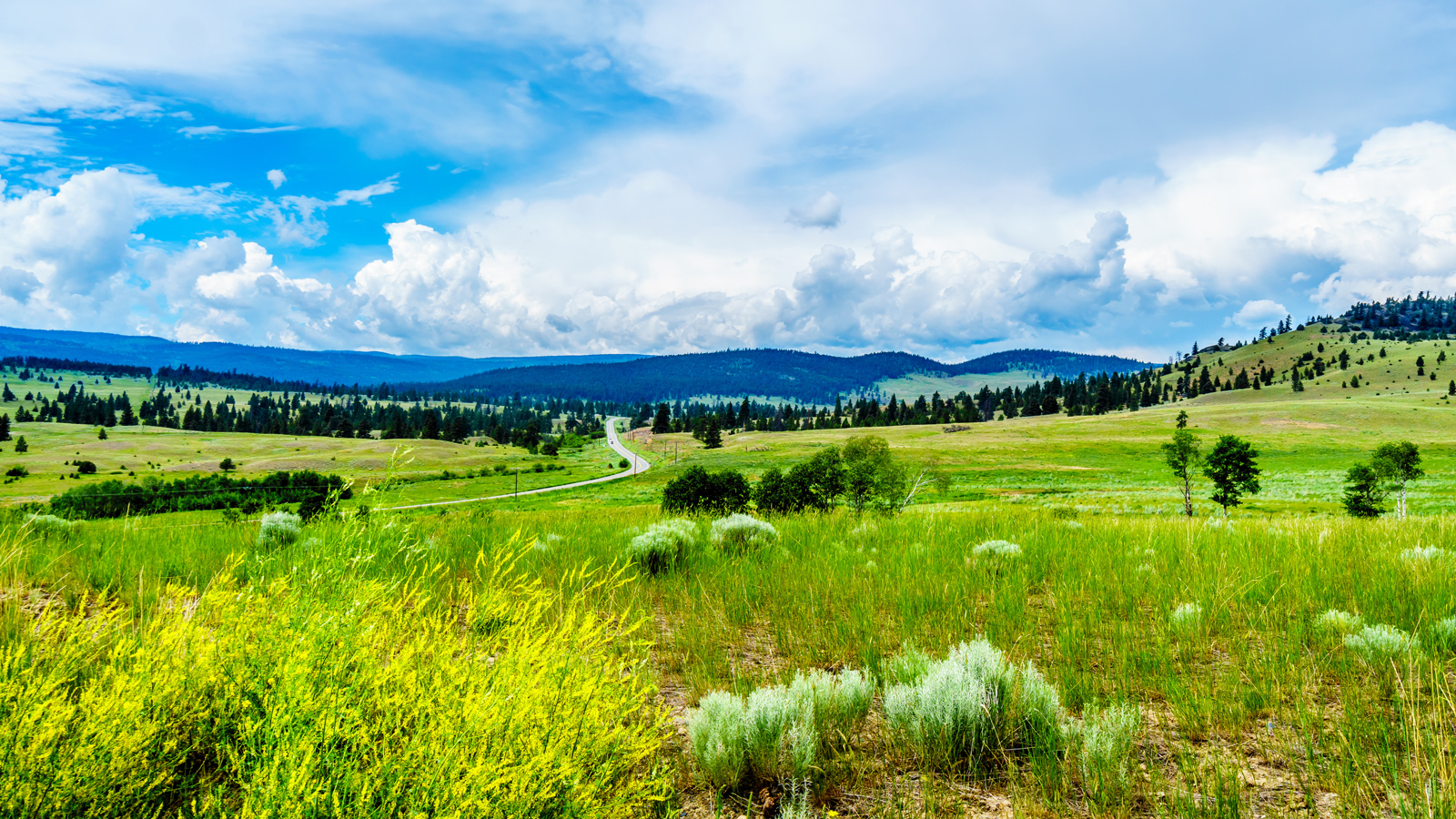 Nicola Valley